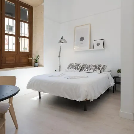 Estudio En Plaza De Toros Appartement